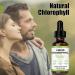 Chlorophyll Liquid Drops - Body Deodorant & Gut Support Healthcare Liver Mint Flavor Vegan & Gluten-Free 4 Month Supply - 2 fl oz - Buy Online on GoSupps.com