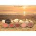 RCMA Beach Day Bronzers - Cream to Powder Ultra Smooth Texture | Catalina 0.42oz - Achieve a Sunny Glow - Buy Online on GoSupps.com