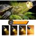 2-Piece Turtle Heat Lamp for Reptiles - UV Heat Spot Lamp with Clip & 240cm Cable - E27 Reptile Heating Lamp for Aquariums Snakes & Chameleons (No Bulb) - Ideal for Turtle Terrariums - Buy Online on GoSupps.com