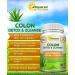 Max Strength Pure Colon Cleanse for Weight Loss - 120 Capsules | Natural Detox Cleanser for Digestive Health | Diet Supplement for Men & Women - Buy Online on GoSupps.com