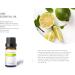 Citrus Essential Oil Set - Pack of 6 Pure Therapeutic Grade 10ml Oils | Lemon Grapefruit Sweet Orange Lime Bergamot & Petitgrain - Buy Online on GoSupps.com