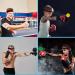 Reflex Ball Set - 4 Balls & 2 Headbands for Training Reflexes Reaction & Hand-Eye Coordination | Shop Internationally - Buy Online on GoSupps.com