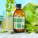 Olini White Cabbage Fermentation 250ml - Fresh Natural Probiotic Juice - No Preservatives Rich in Vitamin C - Buy Online on GoSupps.com