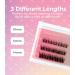 Lola's Lashes Pre-glued Lashes | Soft Definition Starter Kit | Pre-Glues Lashes | Easy Application | Stick & Clamp Tools Included | 5 Days Wear & Waterproof | 10-14mm - Buy Online on GoSupps.com