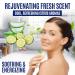 Pyrithione Zinc Soap Bar - Acne Rosacea & Eczema Relief | 4oz Skin Repair Cleanser | Calming Zinc Facial Wash Made in USA - Buy Online on GoSupps.com