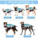 Rozkitch Large Mermaid-Blue Dog Life Jacket for Swimming and Boating - Adjustable Pet Floatation Vest with Handle for Pool and Beach Safety - Buy Online on GoSupps.com