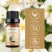 Buy Sedbuwza Jasmine Essential Oil - Pure Organic Jasmine Fragrance Oil for Diffusers Humidifiers Soaps Candles & Perfumes | 0.33 Fl Oz - Buy Online on GoSupps.com