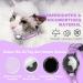 Airtag Cat Collar - Waterproof Reflective Neck Band for Cats & Small Dogs (Purple 23-33cm) - Safety Lock & Tracking - Buy Online on GoSupps.com