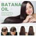 Pure Batana Oil Batana Oil Cream for Hair Growth Natural Batana Oil to Prevent Hair Loss Natural Nurish Hair Care Oil Hair Butter for Hair Regrowth Repair Damaged Hair Enhances Hair Prevent UV Damage - Buy Online on GoSupps.com