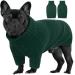 Iecoii dog sweater sweater for dogs dog sweaters for small medium -sized large dogs warm turtleneck dog sweater winter dog clothing for cats chihuahua French bulldog Labrador medium green