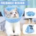 Adjustable Soft Cat Collar - Anti-Bite Wound Healing Cone for Cats & Dogs | International Shipping Available - Buy Online on GoSupps.com