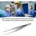 High-Precision Stainless Steel 304 Laboratory Tweezers | Toothed Autoclavable | Ideal for Straight Lace and Fine Work - Buy Online on GoSupps.com