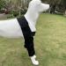 SUDNJIALQ Dog Shoulder Protector Durable And Safe Convenient Polyester Dog Elbow Protector Brace Protector Black L L Black - Buy Online on GoSupps.com