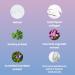 Jane s Forehead Wrinkle Patches | Anti-Wrinkle Treatment & Overnight Face Mask for Forehead Wrinkles - Shop Now - Buy Online on GoSupps.com