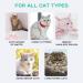 FAMOUS Waterless Cat & Dog Shampoo for Hairball Relief - Hypoallergenic, Natural Ingredients, Sulfate & Alcohol Free - Buy Online on GoSupps.com
