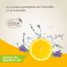 BEAPHAR Eco-certified Ear Cleansing Milk for dogs and cats Contains Aloe Vera and organic Lemon and Lavender essential oils Neutral pH Ready to use 100 ML - Buy Online on GoSupps.com