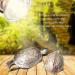 POFET Reptile Basking Spot Climb Pet Lamp Full Spectrum UVA UVB Turtle Tuff Splashproof Halogen Lamp Tortoise Heating Sun Lamp - Buy Online on GoSupps.com