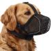 Bonthee dog muzzle mesh soft muzzle for small medium -sized dogs breathable -active reflective adjustable puppy mowers with collar for scavening grooming bite allow patches xs