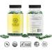 Think FOCO - Focus Supplement for Kids, Teens & Adults - Natural Focus in 30 Minutes - Brain Supplements for Memory and Attention - Vegan Vitamin, Gluten Free, Non GMO Vitamins - Buy Online on GoSupps.com