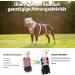 Buy Huntboo Panic Crockery & Heeplectating Dog Harness for Large Dogs - Waterproof Breathable & Adjustable Vest (Pink Large) - International Shipping Available - Buy Online on GoSupps.com