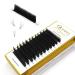 Quewel Self-Fan L Curl Volume Eyelashes - 0.05 Strength Mix 8-15mm | Easy Lash Extensions for Flawless Looks - Buy Online on GoSupps.com