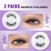 Magnetic Eyelashes 2 Pairs Reusable Magnetic Lashes with Applicator No Glue Magnetic Eye lashes Natural Look without Eyeliner Magnetic Lashes Kit(magnetic lashes-K8+604) CX-K8+604 - Buy Online on GoSupps.com