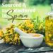 O l na Bio-Johanniskraut Oil - 100% Pure St. John's Wort Oil for Skin Hair & Massage | Promote Blood Circulation | 50ml - Buy Online on GoSupps.com