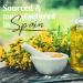 O l na Hypericum Oil 1000ml | St. John's Wort for Skin Care & Wound Healing | Organic & Certified | Acne & Scar Improvement - Buy Online on GoSupps.com