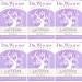 Dr. Woods Exfoliating Lavender Bar Soap with Organic Shea Butter 5.25 oz (Pack of 6)