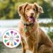 COMNICO 10 pcs Pet Bells for Dog Cat Collar Metal Round Collar Charms Loud Crisp Sound with Clasps Kitten Small Animal Pendant Accessories Christmas Decoration Jingle Bell(Colourful) - Buy Online on GoSupps.com