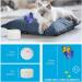All For Paws Interactive Motion-Activated Cat Butterfly Toy - Flutter Bug Teaser Toy with Rotating & Flashing Butterflies - Buy Online on GoSupps.com