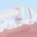 Ranley Tiny Dog Toothbrush | Dog Tooth Brush Cat Teeth Brush - Anti-Slip Handle Cat Tooth Care Brush Safe Pet Teeth Cleaning Kit for Puppy Kitten Cats and Small Breed Dogs - Buy Online on GoSupps.com