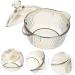 Zerodeko Food Supplies to Go Food Containers with Lids Instant Noodle Bowl Soup Bowls Fruit Bowls Salad Containers with Lids Ramen Noodles Bowl Snacks Container Household Food Bowl Glass 14x14cm As Shown - Buy Online on GoSupps.com