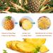 Mkostlich Dried Pineapple Slices Dehydrated Pineapple Slices for Cocktail Garnish Drinks Baking Fruit Tea No Sugar Added No Sulphur Dry Pineapple Slices 3.52oz/100g (2 pack) - Buy Online on GoSupps.com
