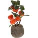 3pcs Simulated Kumquat Decor Indoor Plants Artificial Plants Greenery Desktop Adornments Faux Plant Household Fake Bonsai Potted Plants Fake Bonsai Ornaments Fake Fruit Tree Office As Shownx3pcs 9.5x9.5x26.5cmx3pcs - Buy Online on GoSupps.com