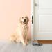 Shop Owner Dog Training Bell | Metal Wall-Mounted Door Bell - SliverDeW - Buy Online on GoSupps.com