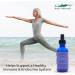 Ionic Zinc Liquid Concentrate - Eidon Mineral Supplements (2 oz60 ml) - Buy Online on GoSupps.com