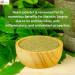 mGanna 100% Natural Neem Leaf Powder Pure Azadirachta Indica for Skin, Hair Care and Cosmetic Formulations 227 GMS / 0.5 LBS - Buy Online on GoSupps.com