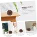 Beaupretty Mini Wooden Sports Stress Balls - Unique Wenwan Handle Craft Decor | International Shipping - Buy Online on GoSupps.com