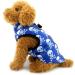 Shop Pegasus Winter Coat for Dogs & Cats | Warm Windproof Jackets for Chihuahua Dachshund & Puppies - Blue Skull Design - Buy Online on GoSupps.com
