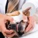 SZCXDKJ 12 Pieces Pet Finger Toothbrush Soft Silicone Pet Finger Toothbrush Food Safety Tooth Cleaner Dog Cat Dental Brushes Kit for Dogs Cats Pets Dental Care(Transparent Color) - Buy Online on GoSupps.com