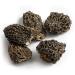 Buy MARKY S Jumbo Dried Morel Mushrooms - 1 oz (28 g) | Premium Quality International Shipping Available - Buy Online on GoSupps.com