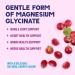 Magnesium Glycinate Gummies - Sugar Free - 100% Chelated Magnesium Gummy Supplement for Max Absorption - for Sleep Support & Heart Muscle & Bone Health - Gentle on Stomach Grape Flavor - 60 Gummies - Buy Online on GoSupps.com