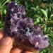Natural Crystal Rough Amethyst Quartz Crystal Cluster Specimen Healing 140-150g - Buy Online on GoSupps.com