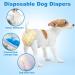 15 Pack Pull-On Disposable Dog Diapers for Female & Male Dogs | Stretchable Waistband Fits 30-50 cm | Premium Pet Care - Buy Online on GoSupps.com