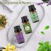 Vanilla Lavender Peppermint Essential Oils Set 100% Pure Premium Grade Natural Aromatherapy Oil Gift kit for Diffusers Home Care Candle Making Fragrance Aromatherapy Humidifiers Vanilla + Lavender + Peppermint 10.00 ml (Pack of 3) - Buy Online on GoSupps.com