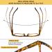 5 Pack Blue Light Blocking Reading Glasses for Women & Men | Fashion Square Computer Readers | Anti UV Nerd Eyeglasses (0.75 Strength - Buy Online on GoSupps.com