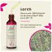 Original Bach Flower Drops No. 19 Larch - Boost Self-Confidence & Determination | 20ml - International Shipping Available - Buy Online on GoSupps.com
