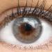 Buy Colored Monthly Contact Lenses - Soft Hydrogel - Natural Bianco Gray - 2 Pieces + Lens Container - No Starch 0.0 Diopters - Buy Online on GoSupps.com