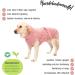 Shop Lills Dog Wadder - 100% Organic Cotton Bathrobe for Dogs | Extra Absorbent Pinkberry (4XL - 80cm Back Length) | International Shipping Available - Buy Online on GoSupps.com